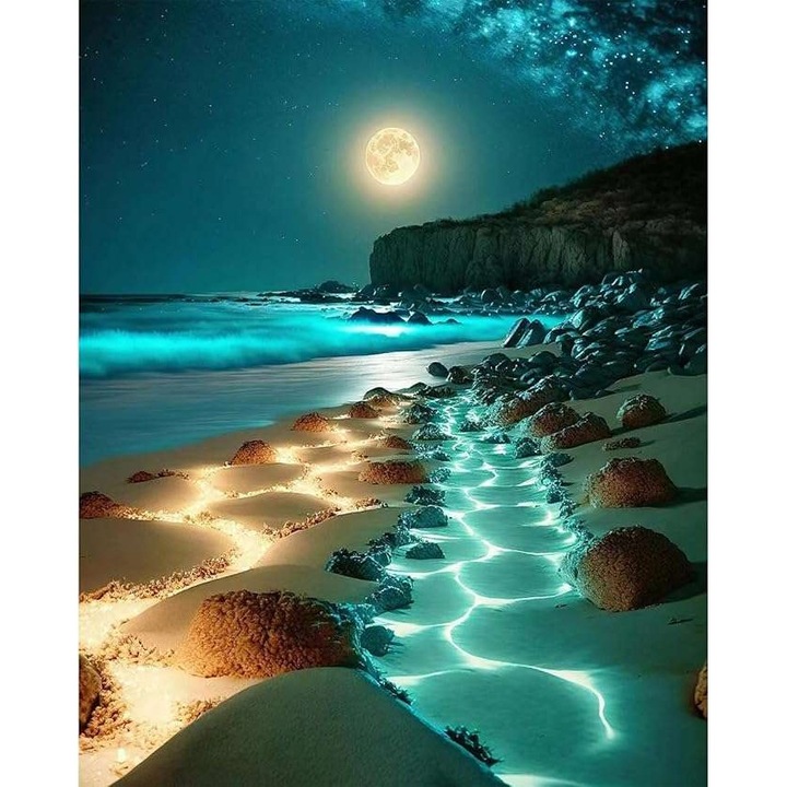 Комплект за занаяти, CE, 5D диаманти, 30x40 см, Night Beach