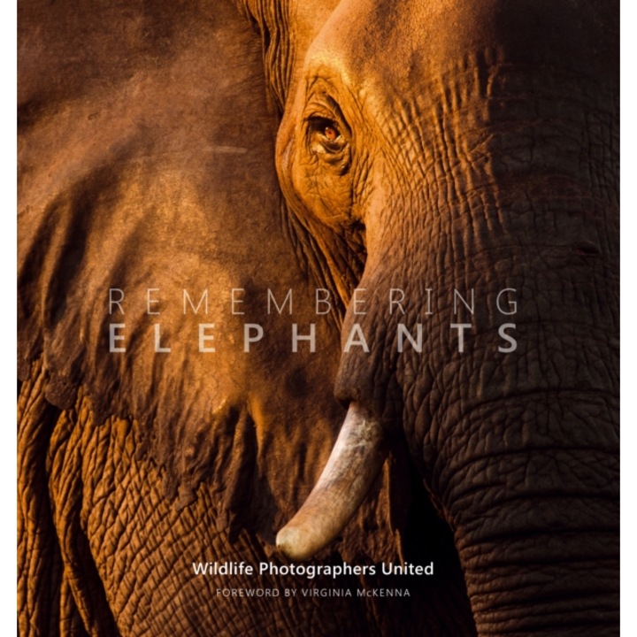 Remembering Elephants