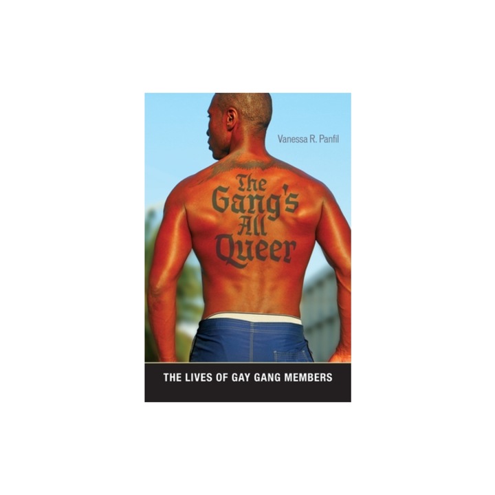 The Gang's All Queer: The Lives of Gay Gang Members, Vanessa R. Panfil (Author)