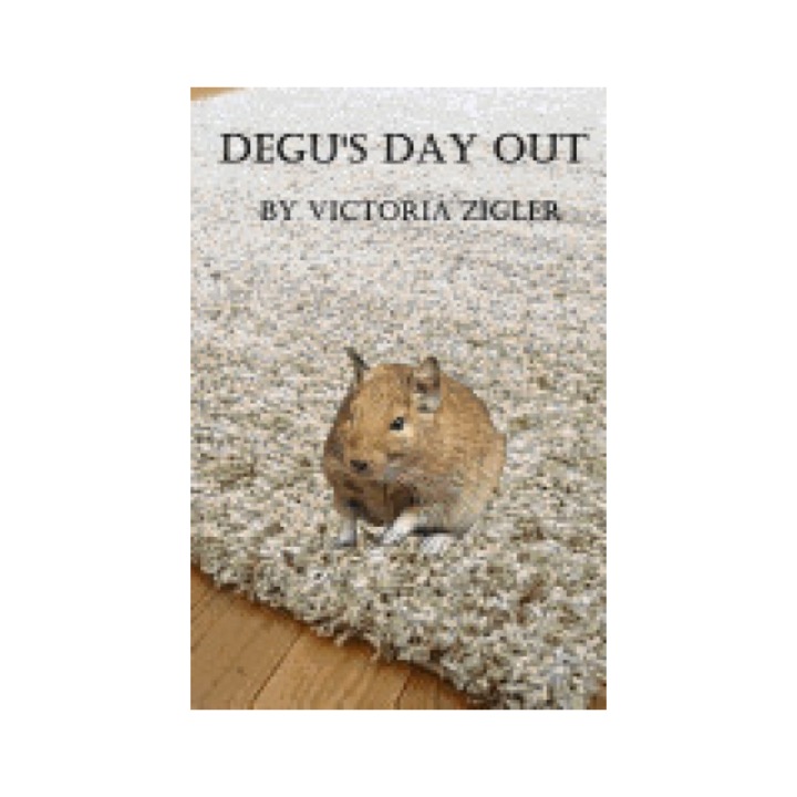 Degu's Day Out