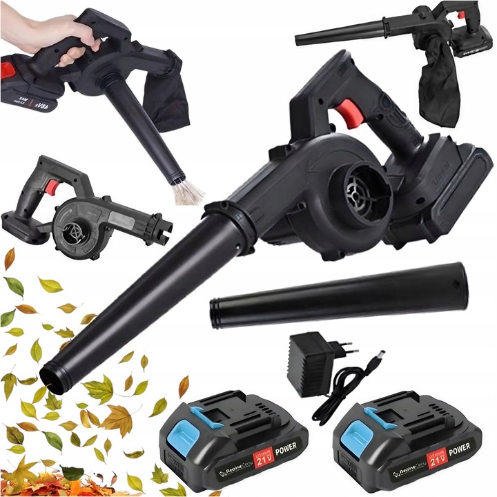 Dmucha si aspirator 2 in 1, 21V, 600W, negru, 40x16cm, set complet