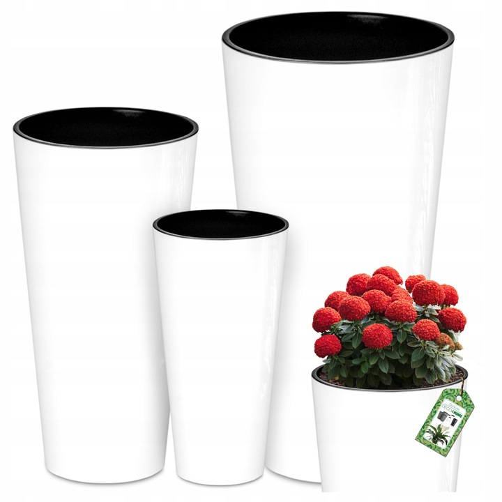 Set 3x Ghiveci Alb Polished cu Wklady, Dimensiuni: 29x14cm, 48x24cm, 57,5x30cm