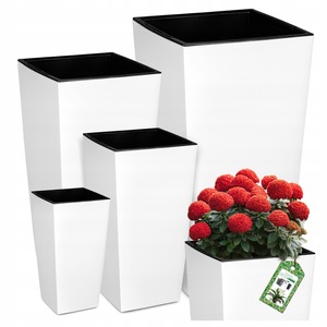 Ghivece si suporturi