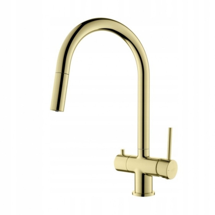Robinet Blue Water CYRUS, cu conectare la apa filtrata, finisaj auriu, cu duza retractabila, 360°