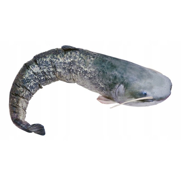 Плюшена играчка риба, Габи, 200 см, 3 налични размера