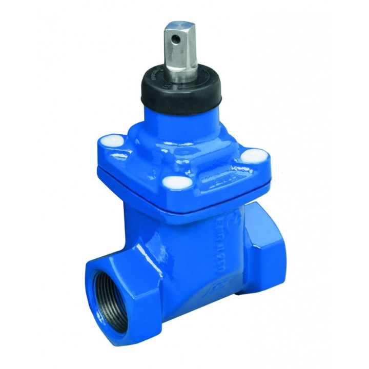 Zasuwa gwintata DN40 6/4" PN10, zeliu, 120x170mm, set