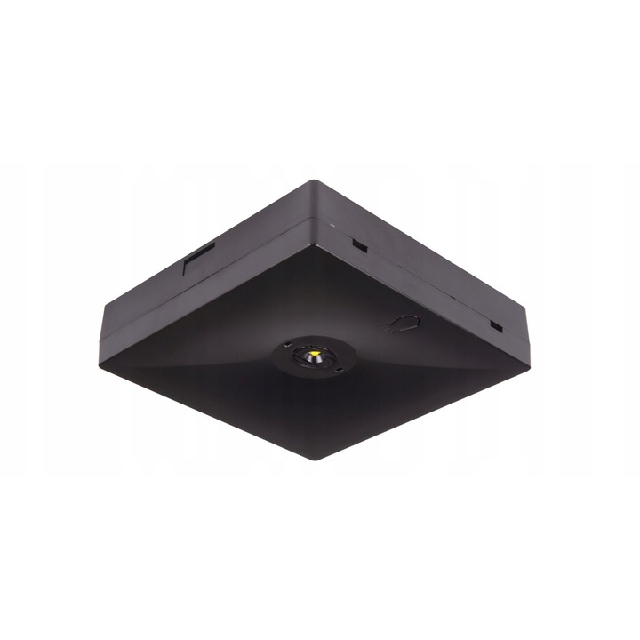 Kereskedelmi világítótest, Intelight STARLET QUAD 6W, fekete, 220V, IP20