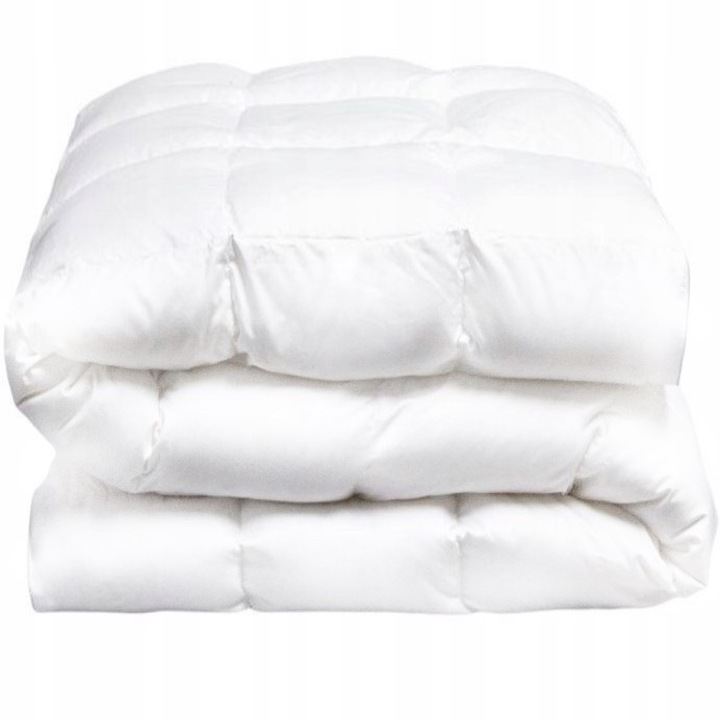 Pilota antialergica 180x200cm, 100% microfibra, set, calitate poloneza