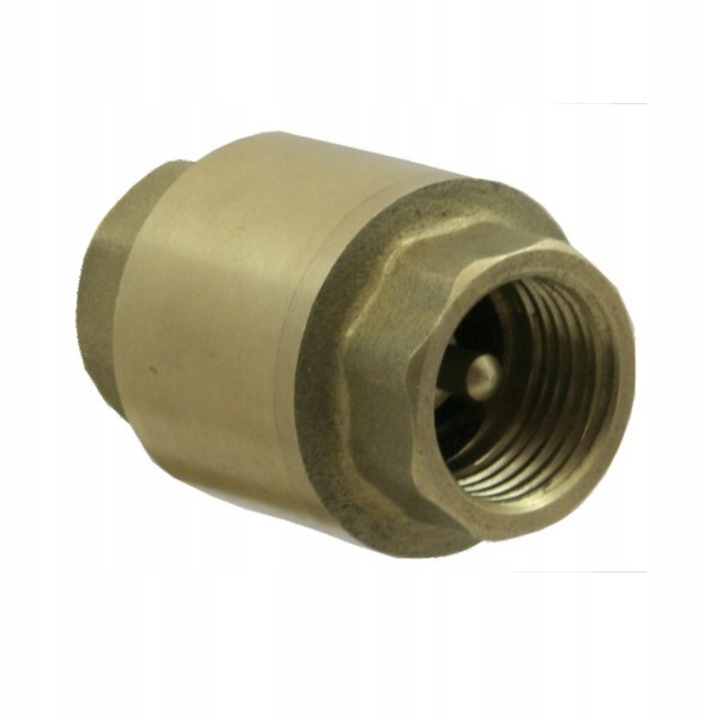 Zavor de retur 2 1/2" cu gratar metalic, mosiad, DN65, PN10, pentru apa, GOSHE