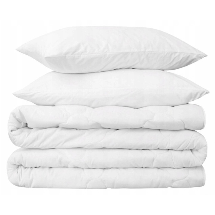 Set complet pilota si doua perne, antialergice, 220x200cm, 70x80cm, multicolor