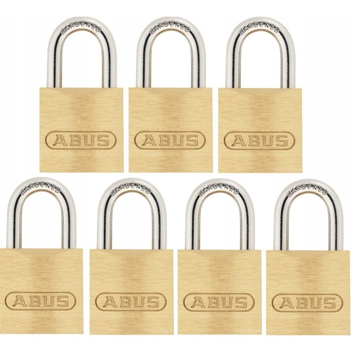 Lacate mositate set 7 bucati Abus 60/25, palan din otel, sistem de un singur cheie