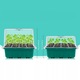 Set 5 germinatoare seminte, cu iluminare LED, transparent, 12 compartimente, 70cm cablu USB