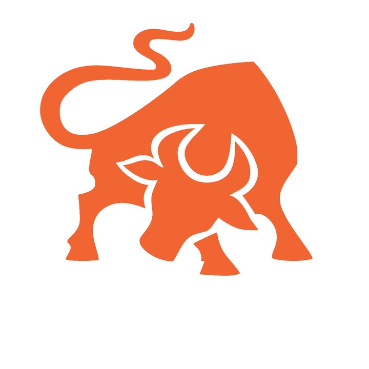 Sticker auto rezistent, taur v2, portocaliu, 18cm