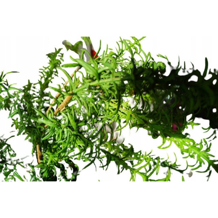 Ramura decorativa verde, Jucca, plante artificiale, 46cm