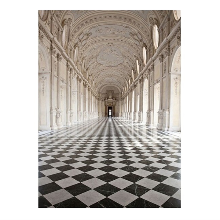 Fotótapéta városi Palace of Venaria, Wizard and Genius, 183 x 254 cm