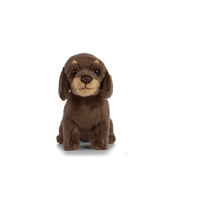 Jucarie de plus - Catelus Dachshund (Teckel)