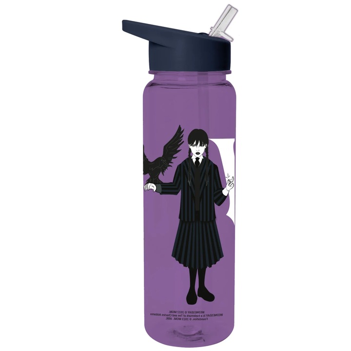 Sticla pentru apa - Wednesday - W, Plastic, 700 ml