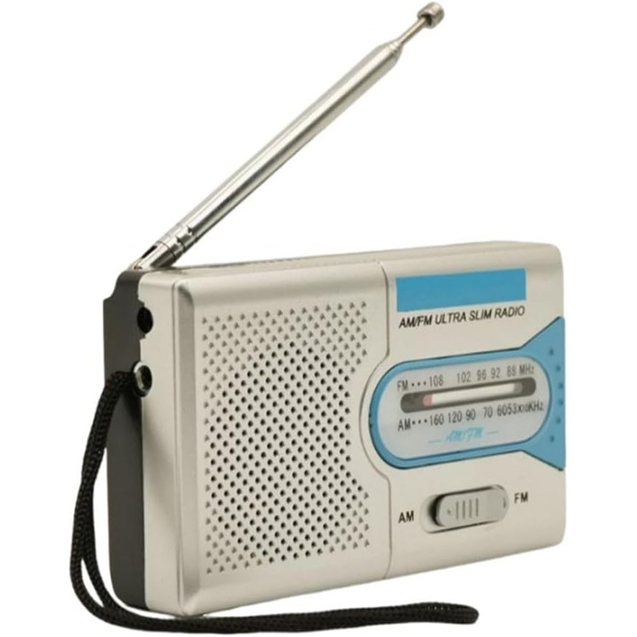 Programator stropire WiFi cu control APP, 2 iesiri independente, control vocal, mod manual, 2.4GHz