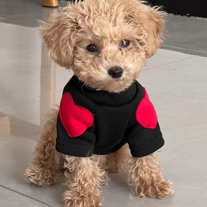 Pulover pentru caini mici si medii, turtleneck cu aplicatie in forma de inima, negru, marimea M, set pentru primavara, toamna si iarna