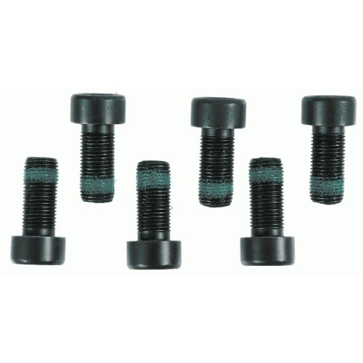 Set suruburi ambreiaj Sachs 6x M10x1x22 pentru Audi, Seat, VW 1.9 TDI