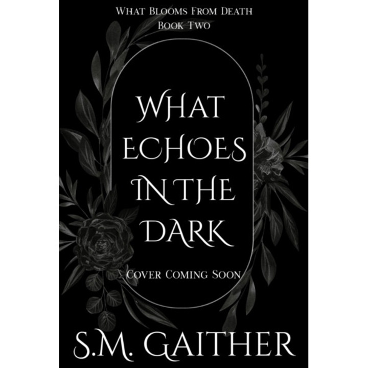 What Echoes In The Dark - S. M. Gaither