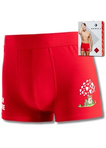 Lenjerie intima barbati