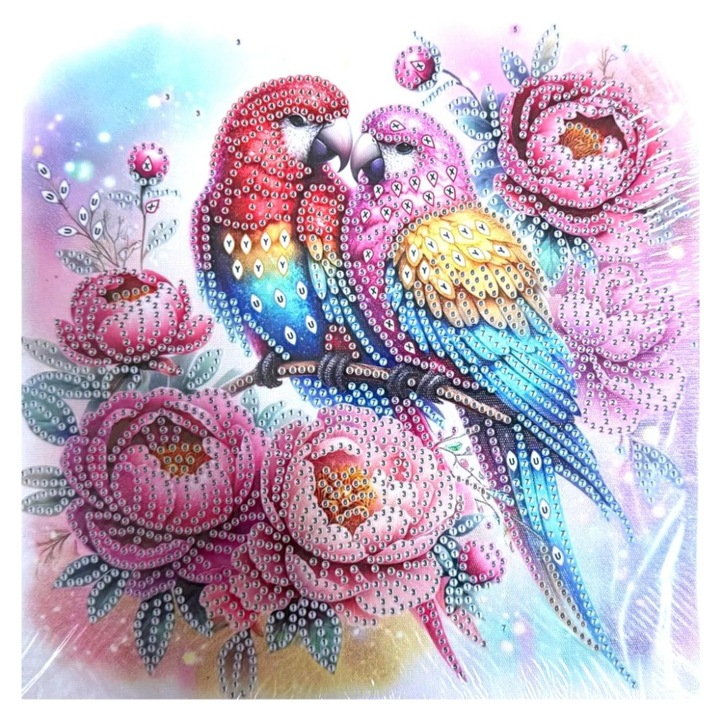 Tablou YY74, Papagali si Bujori, cu Diamante, cu Umplere partiala, cu rama, 25x25 cm