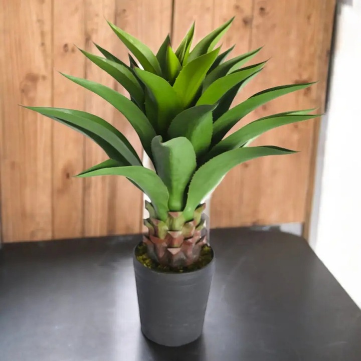 Plante artificiale, Agave, 82cm, set