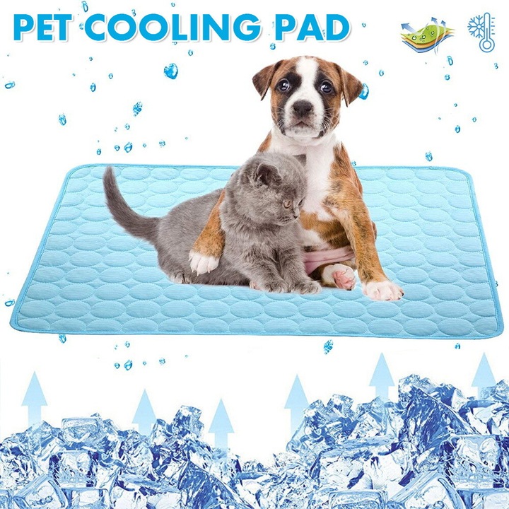 Saltea racoroasa pentru animale, 62x50cm, albastra, material din nylon si bumbac