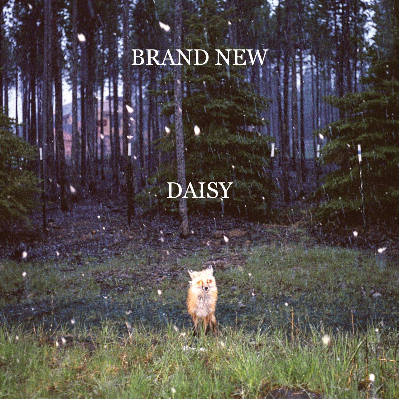 Brand New-Daisy-LP