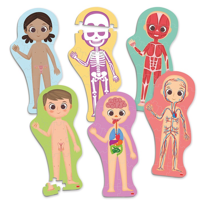 Puzzle maxi - Descopera si identifica corpul uman