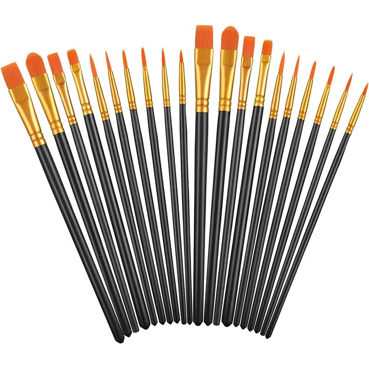 Set de 20 pensule acrilice, 10 dimensiuni diferite, multicolor, pentru pictura, pentru adulti si copii