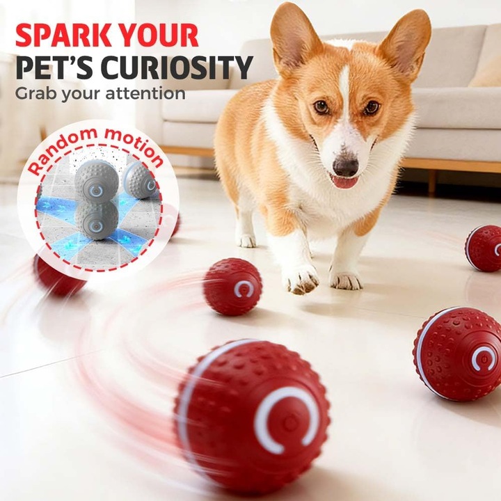 Casti Wireless, set, multicolor