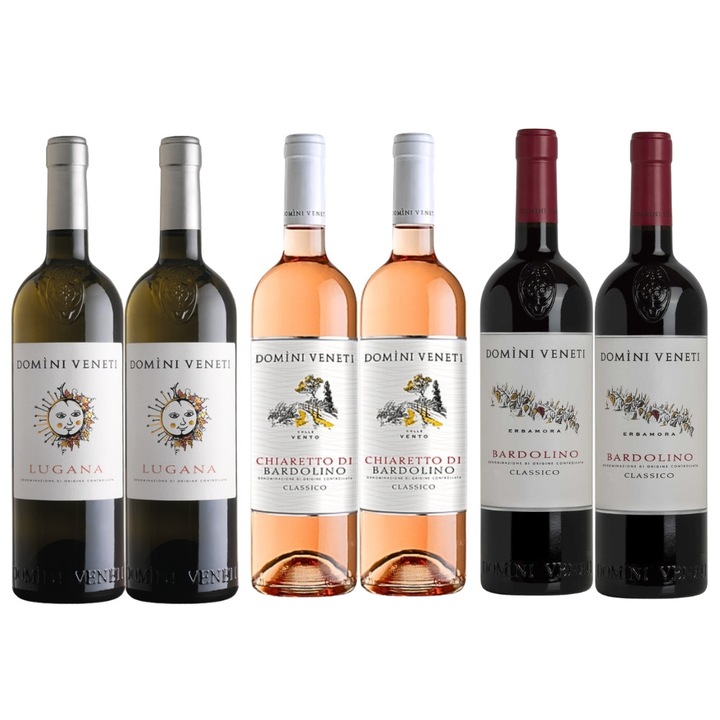 Pachet Cadou 6 Sticle Domini Veneti MIX01