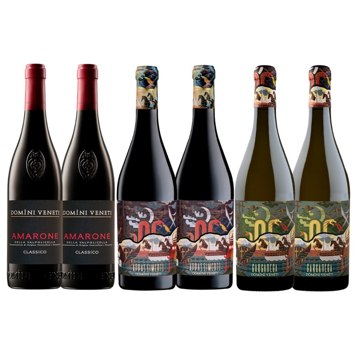 Pachet Cadou 6 Sticle Domini Veneti MIX03