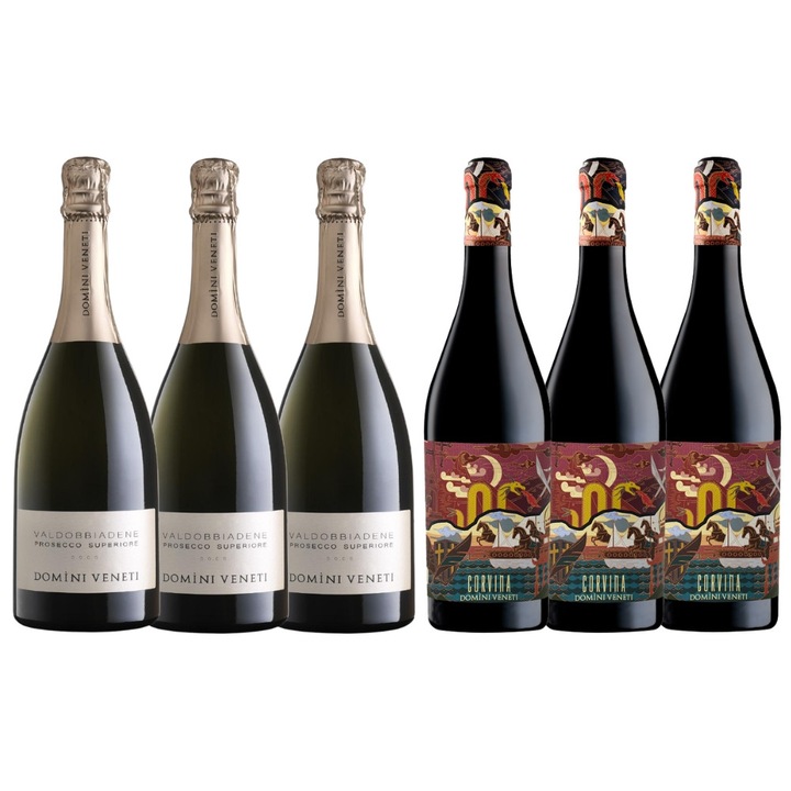 Pachet Cadou 6 Sticle Domini Veneti MIX02