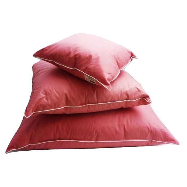 Perna Artex 70x80cm, puf si pierze darte, natural, 1,8kg