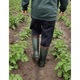 Cizme protectie Lemigo Grenlander 862, captusite, galosi, 45, 45