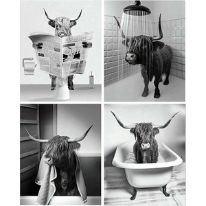 Accesorii decorative