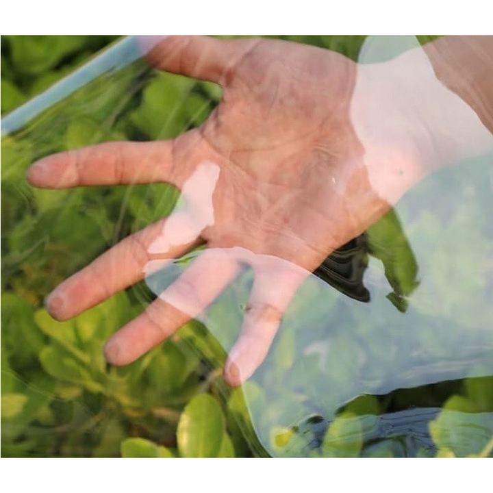Prelara transparenta 400g/m2, impermeabila, cu ochiuri, 2x1m