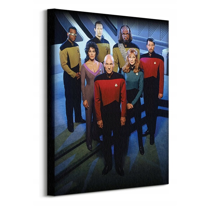 Картина върху платно Star Trek The Next Generation, 40x50 см, дървена рамка, наситени цветове