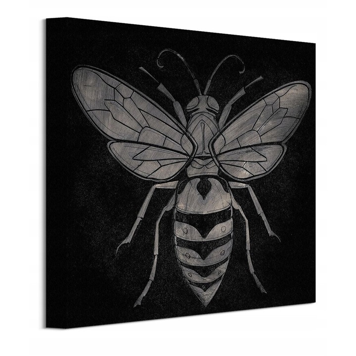 Tablou Barry Goodman, Osa, 30x30 cm, bumbac 300 g/m2, rama din lemn de pin