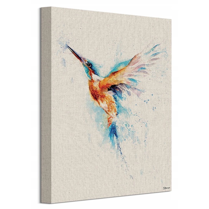 Tablou Kolorowy Koliber, Pyramid Posters, 30x40 cm, bumbac 300g/m2, rame din lemn de pin