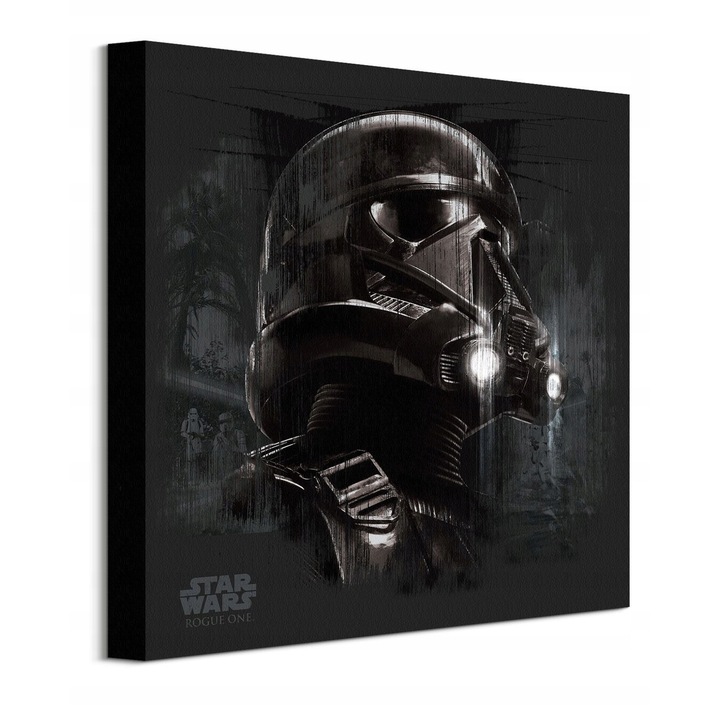 Картина Star Wars Rogue One Death Trooper, 40x40см, черна, канава 300гр/м2