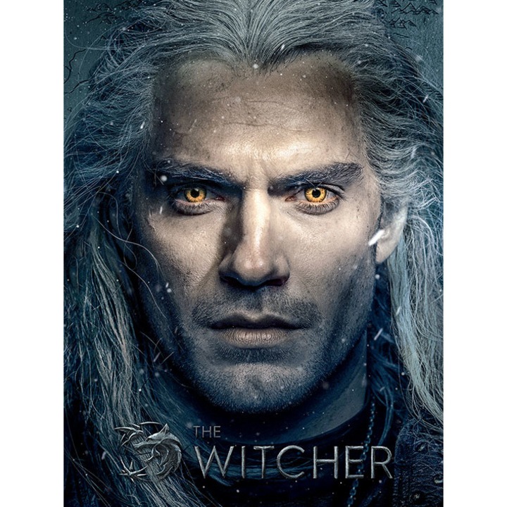 Tablou Wiedzmin, Pyramid International, 40x50 cm, culori puternice, rama din lemn de pin