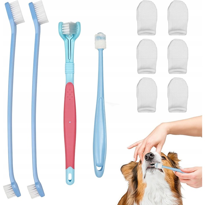 Kutya és macska foghigiéniai kefekészlet, 10 darabos, többszínű