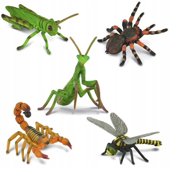 Figurine set, Collecta, insecte si animale, 3+
