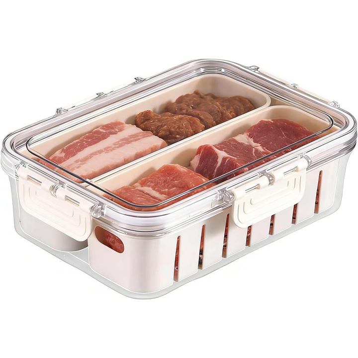 Cutie alimentara compartimentata, portabila, 30x20x5cm, multicolor