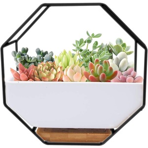 Vaze si boluri decorative