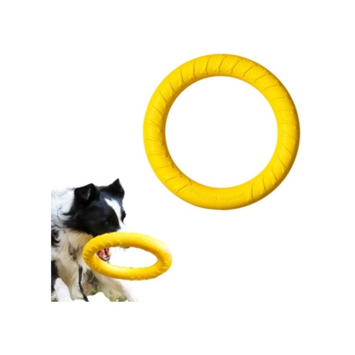 Accesorii antrenament, pescuit, inot, Hfd training, pentru caini